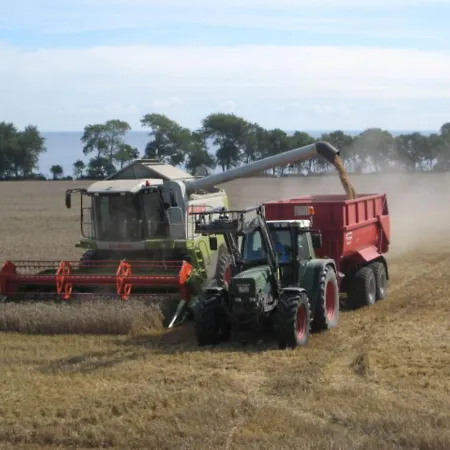 Ferienbauernhof Liesenberg Bauernhauswohnung Landlust *