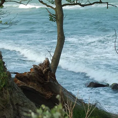 Ferienbauernhof Liesenberg Bauernhauswohnung Landlust *