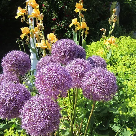 Ferienbauernhof Liesenberg Bauernhauswohnung Landlust *