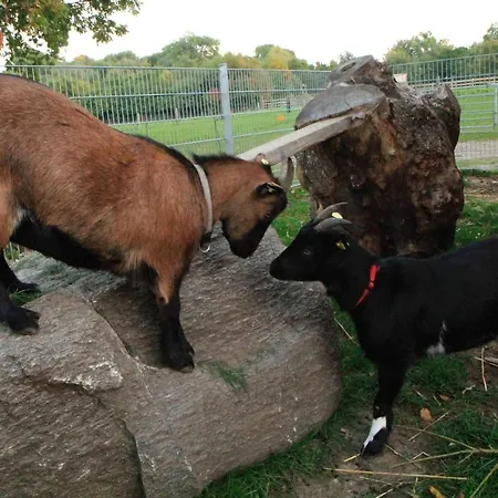 Apartament Ferienbauernhof Liesenberg Bauernhauswohnung Landlust *